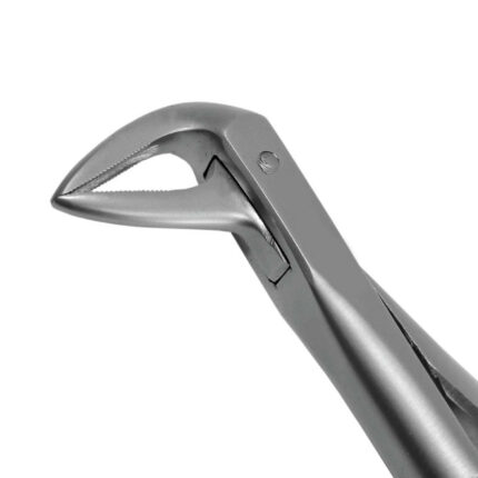 Lower Anterior Root Extraction Forceps 1